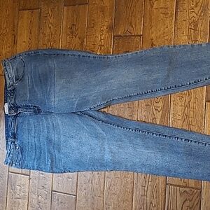 Eloquii Women's Blue Jeans